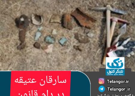 ۹۷ متجاوز به میراث‌ فرهنگی استان گلستان دستگیر شدند
