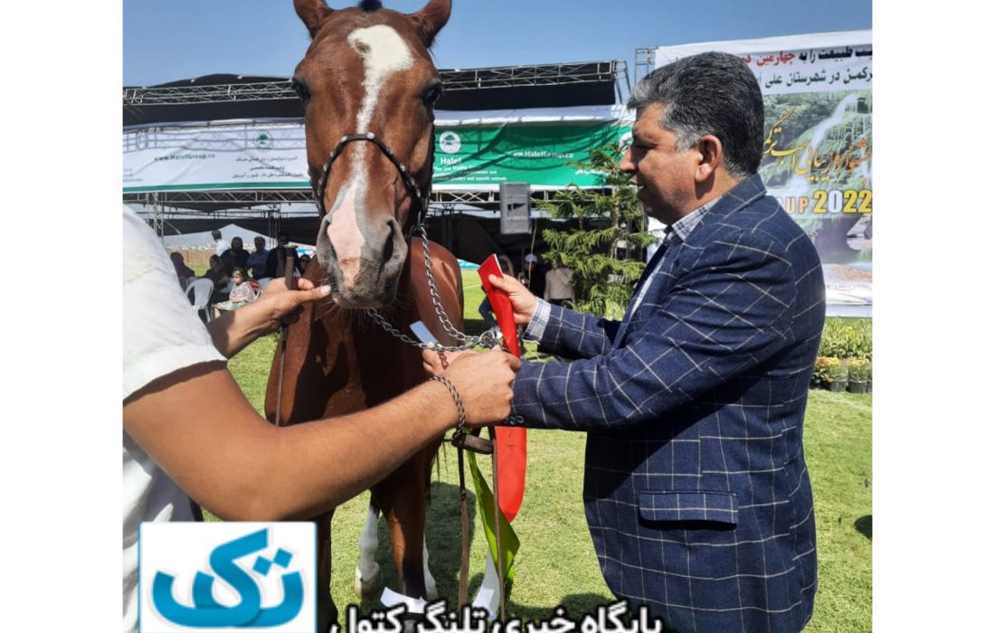 معرفی اسب اصیل ترکمن به عنوان یکی از نژاد های برتر اسب در دنیا است