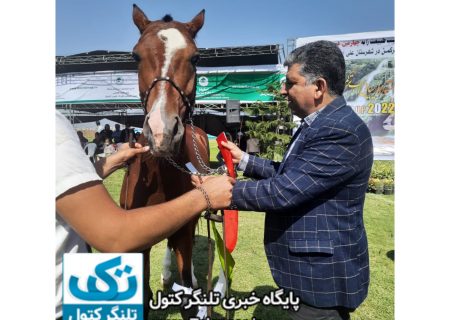 معرفی اسب اصیل ترکمن به عنوان یکی از نژاد های برتر اسب در دنیا است