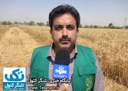 اجرای طرح مشارکتی ارقام گندم در علی آباد کتول