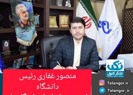 هفته ملی مهارت  نقش آموزش و نهاد های آموزش در مهارت آموزی