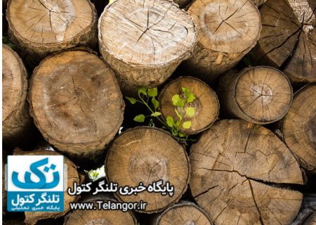 کیفرخواست «موریانه‌های جنگل هیرکانی» صادر شد