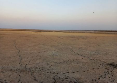 ۲ تالاب بین‌المللی گنبدکاووس به طور کامل خشک شد