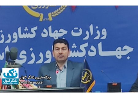 محمد برزعلی از افتتاح ۱۸۳ پروژه در ایام‌الله دهه فجر خبر داد