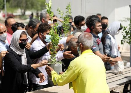 توزیع نهال رایگان در گلستان با محدودیت انجام می‌شود
