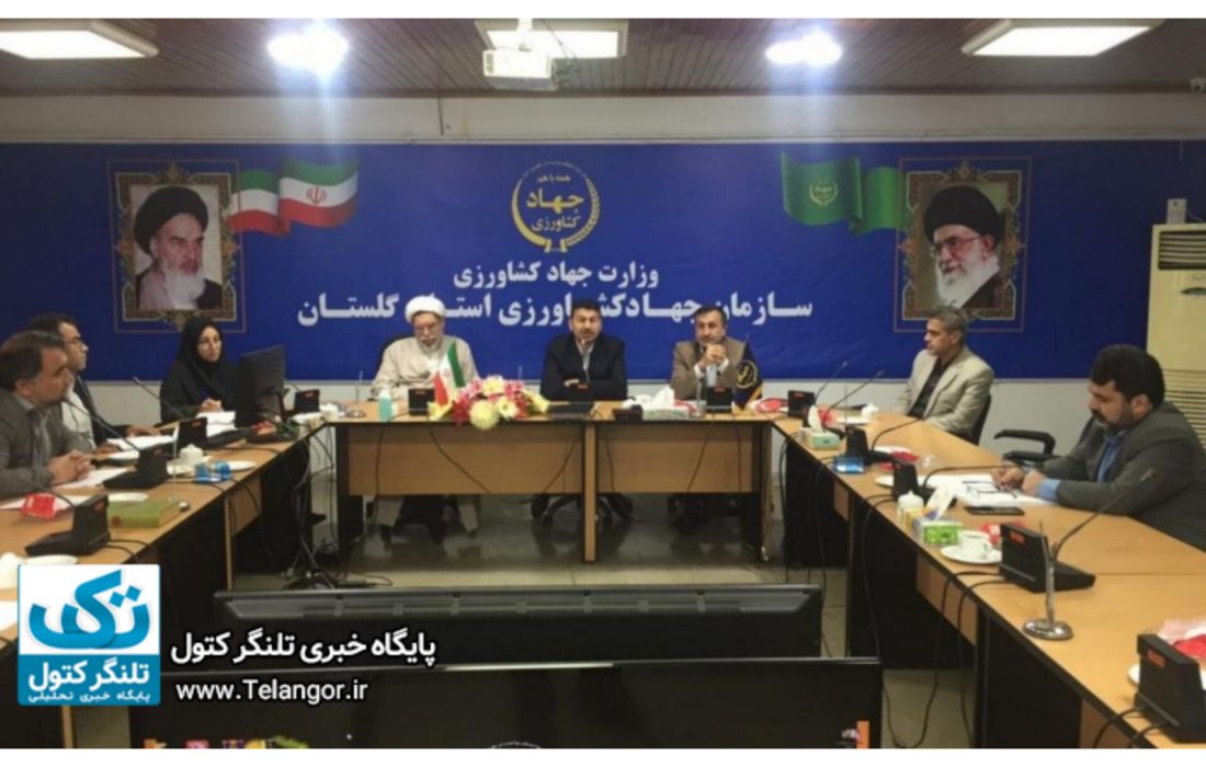 کشت محصولات کم آب بر، گامی در سازگاری با خشکسالی