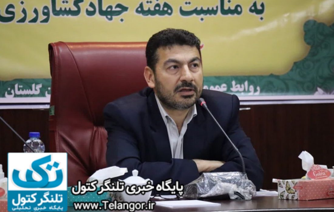 استان گلستان رتبه اول کشت گندم در کشور