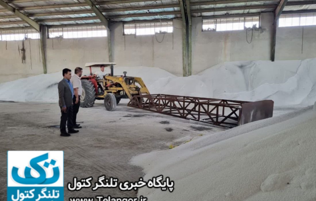 گیاهان برای رشد به حداقل ۱۶ عنصر غذایی نیاز دارد