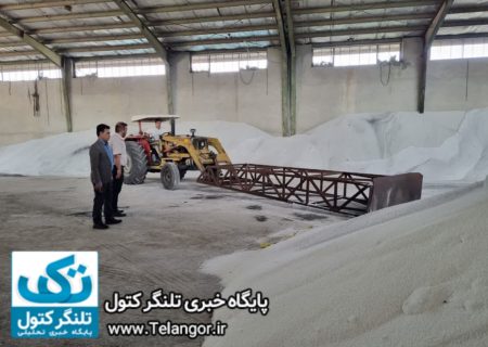 گیاهان برای رشد به حداقل ۱۶ عنصر غذایی نیاز دارد