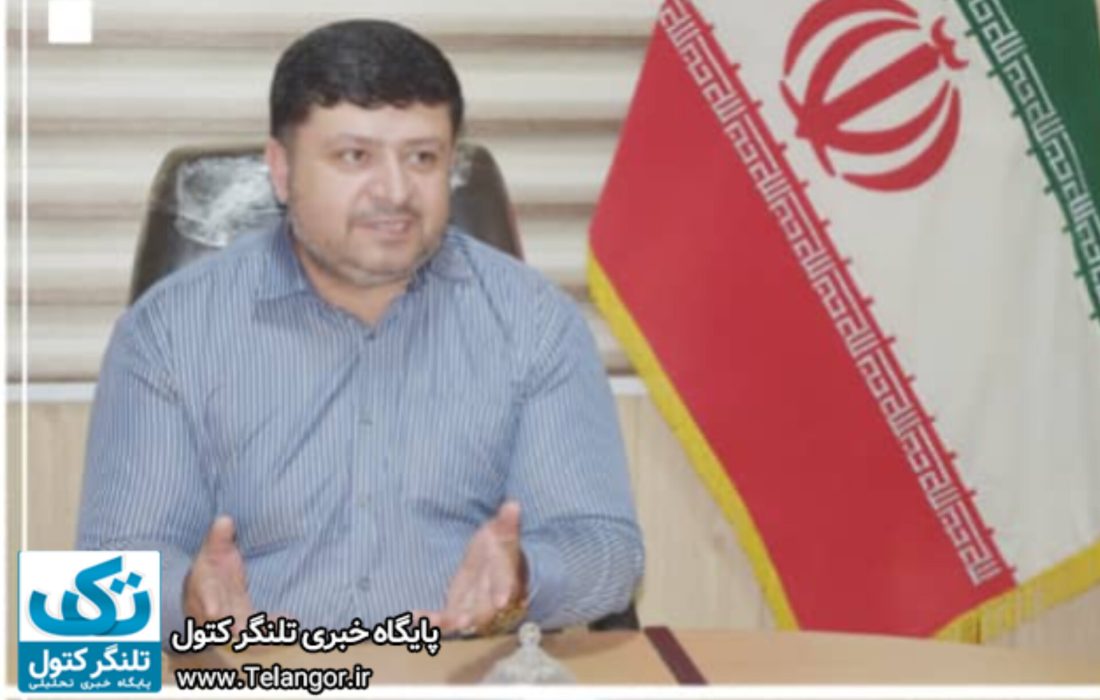 شهرداری در مدیریت،جمع آوری و نگهداری سگ های بلاصاحب تنهاست