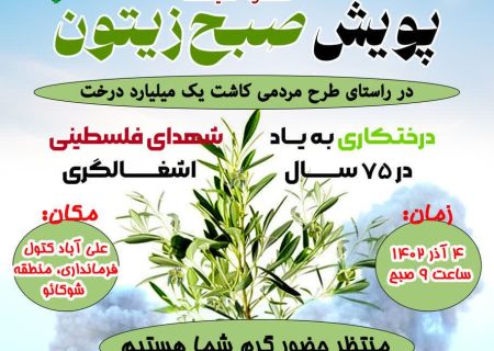 پویش صبح زیتون