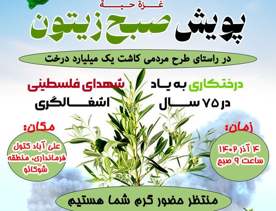 پویش صبح زیتون