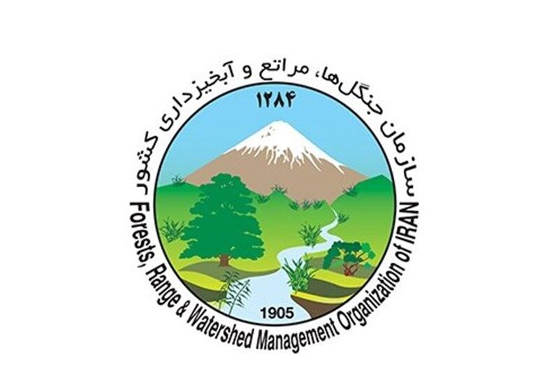 چگونگی توزیع بودجه ۷۰ میلیاردی “طرح تنفس جنگل های شمال”