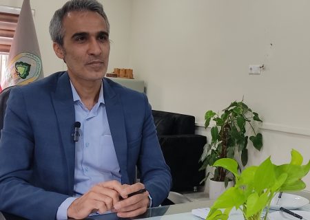 ۹۰ هزار هکتار منابع ملی در اختیار شهرستان