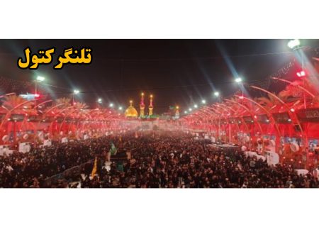اربعین حسینی/ جلوه‌ای از شور و شعور