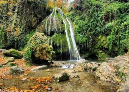 جنگل کبودوال یکی از بهترین نمونه‌های جنگل‌های هیرکانی در ایران است