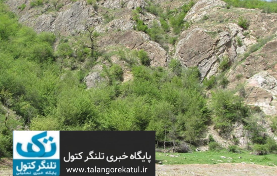 مردم یا سنگ؟ مسئله این است…