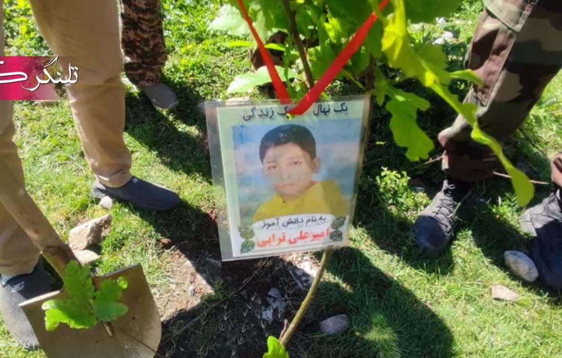 گسترهی سبز شهرستان علیآباد کتول در روز جهانی زمین پاک