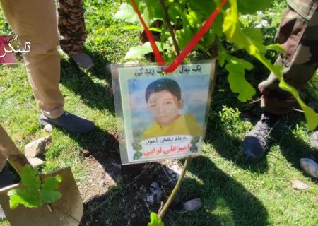 گستره‌ی سبز شهرستان علی‌آباد کتول در روز جهانی زمین پاک