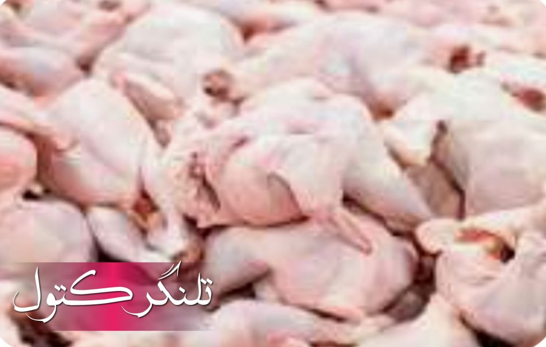 جولان مرغ در قطب تولید کشور! / وقتی نهادهای نظارتی حریفِ سلاطینِ بازار نمیشوند