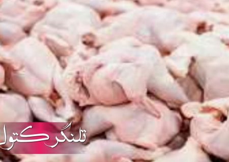 جولان مرغ‌ در قطب تولید کشور! / وقتی نهادهای نظارتی حریفِ سلاطینِ بازار نمی‌شوند