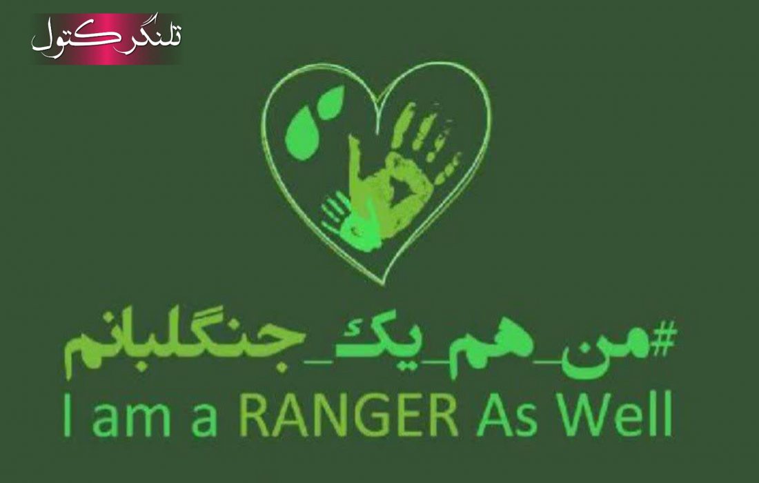 روز جهانی جنگلبان؛ ادای احترام به حافظان خاموش طبیعت