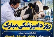 وقتی از امنیت غذایی صحبت می‌کنیم، نباید فقط به بازار و قیمت مواد غذایی نگاه کنیم.