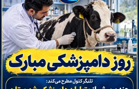 وقتی از امنیت غذایی صحبت می‌کنیم، نباید فقط به بازار و قیمت مواد غذایی نگاه کنیم.