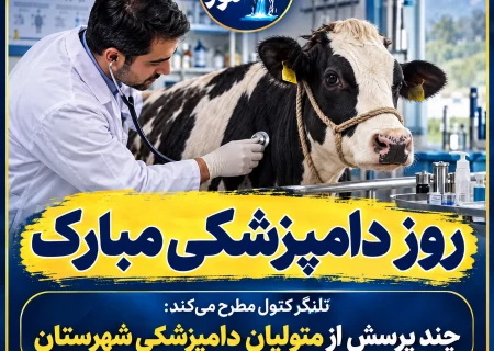وقتی از امنیت غذایی صحبت می‌کنیم، نباید فقط به بازار و قیمت مواد غذایی نگاه کنیم.